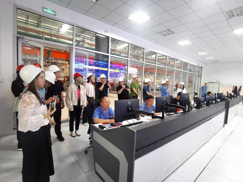 技术驱动、智造升级 德城区百亿级绿色建材产业新纪元的崛起与赋能